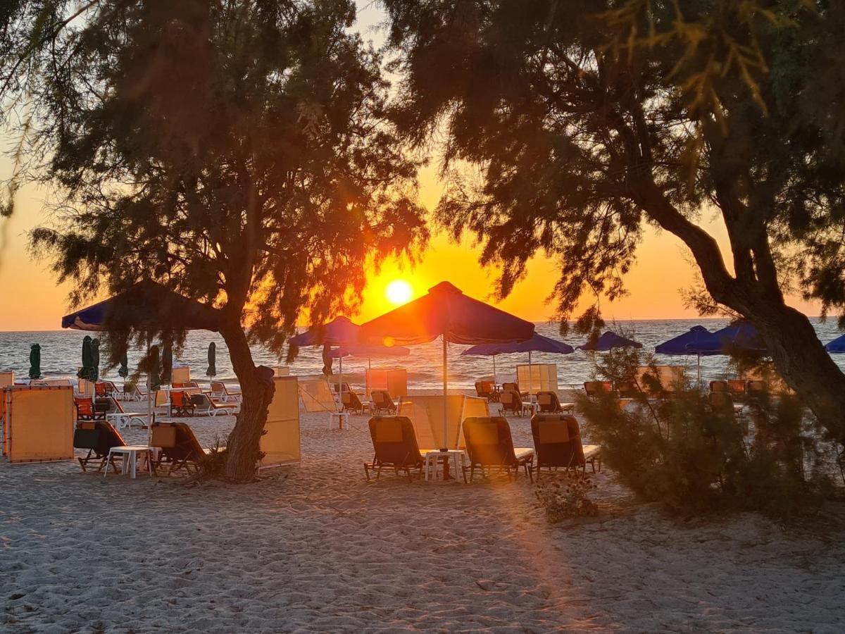 Apartment Elia Mare